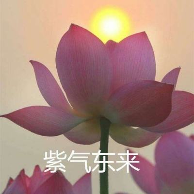 宝宝学习垃圾分类最新版下载